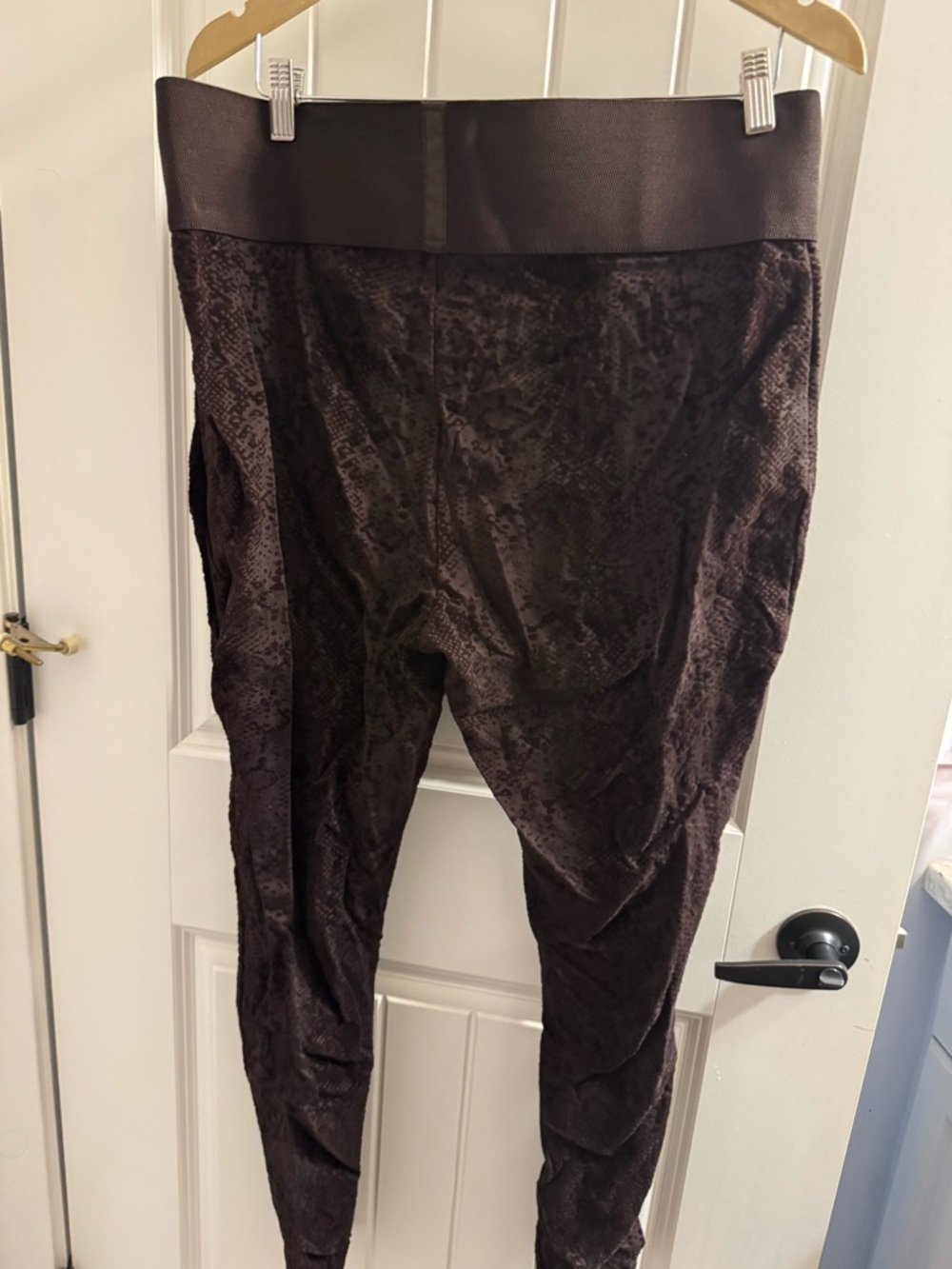 Peter Nygard Dark Brown Textured Leggings